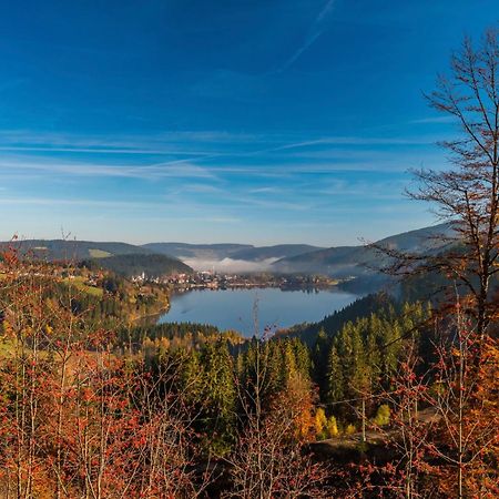 Ferienhaus Schwarzwaldstern, Todtnau, 3 Schlafzimmer Екстер'єр фото