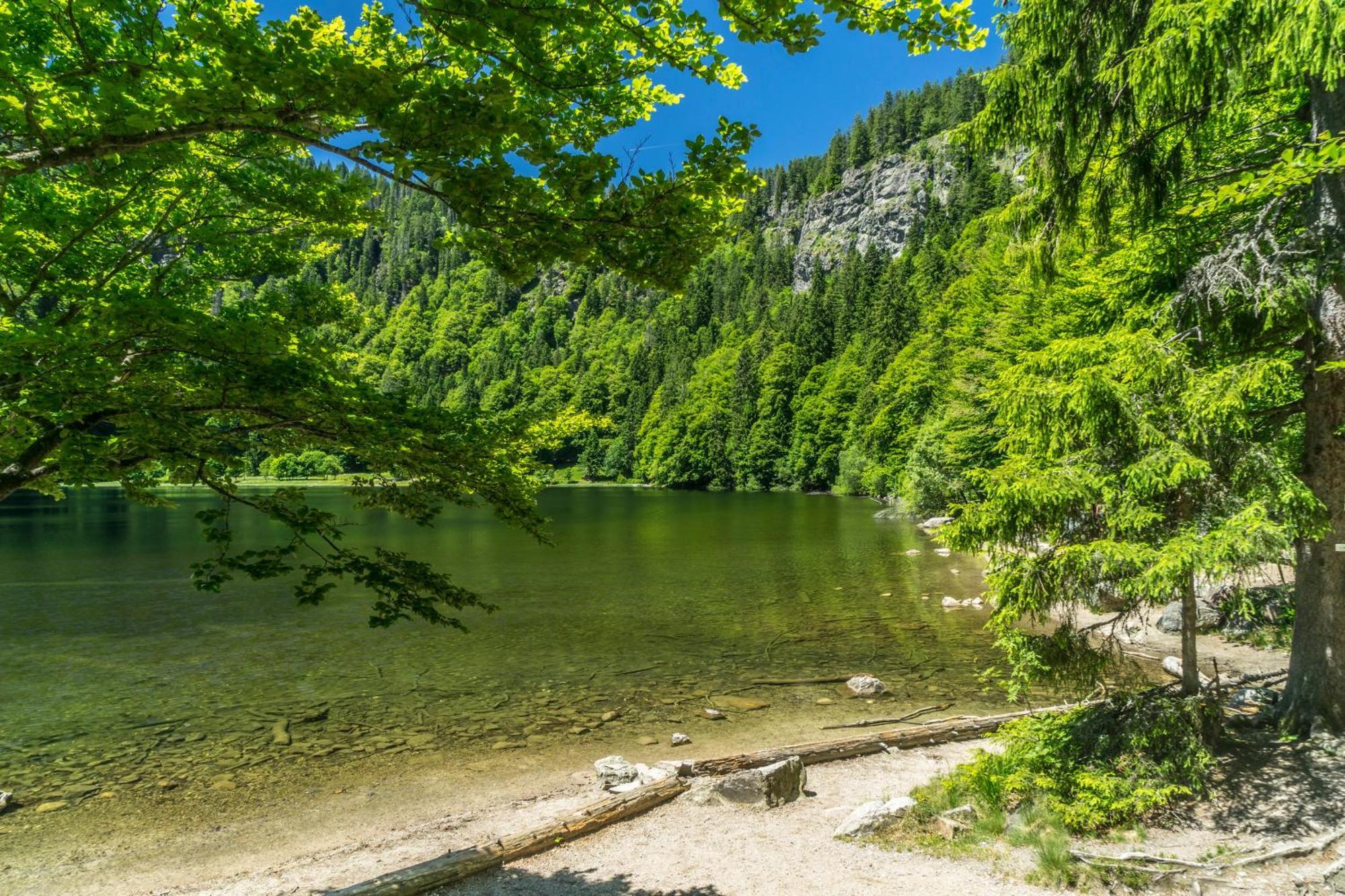 Ferienhaus Schwarzwaldstern, Todtnau, 3 Schlafzimmer Екстер'єр фото