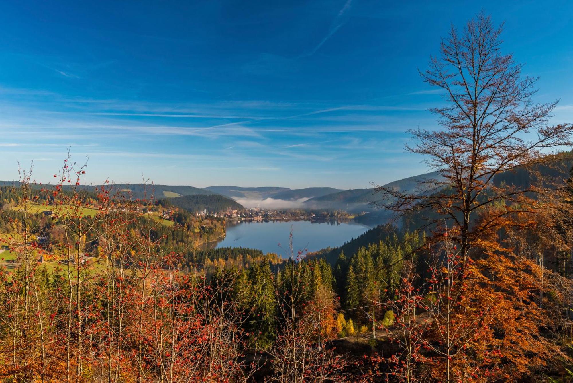 Ferienhaus Schwarzwaldstern, Todtnau, 3 Schlafzimmer Екстер'єр фото